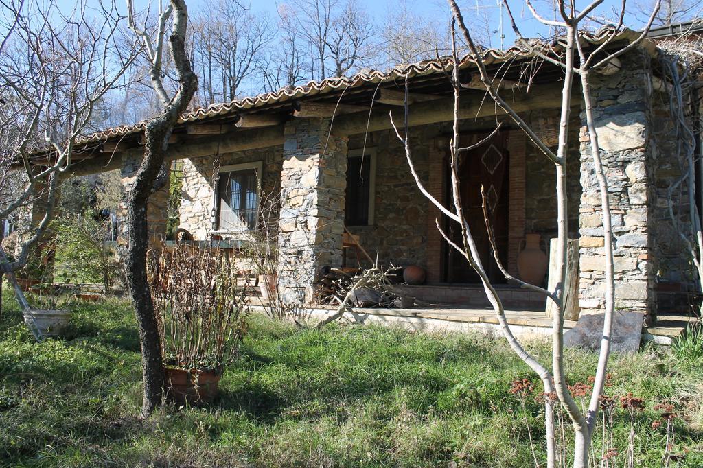 Case Vacanza S. Nicola Viggianello Zewnętrze zdjęcie