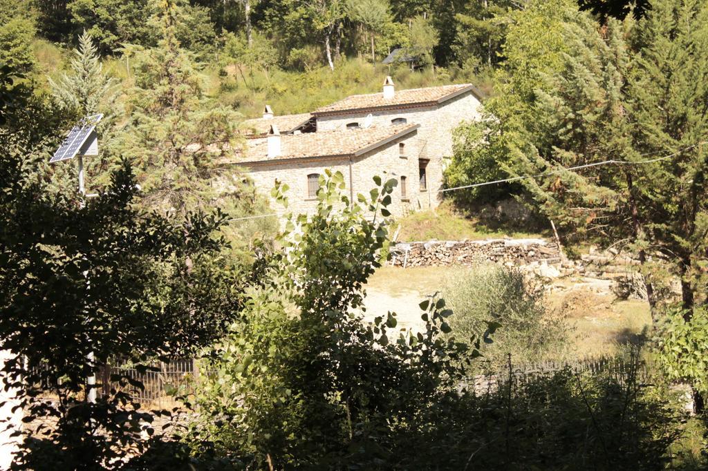 Case Vacanza S. Nicola Viggianello Zewnętrze zdjęcie